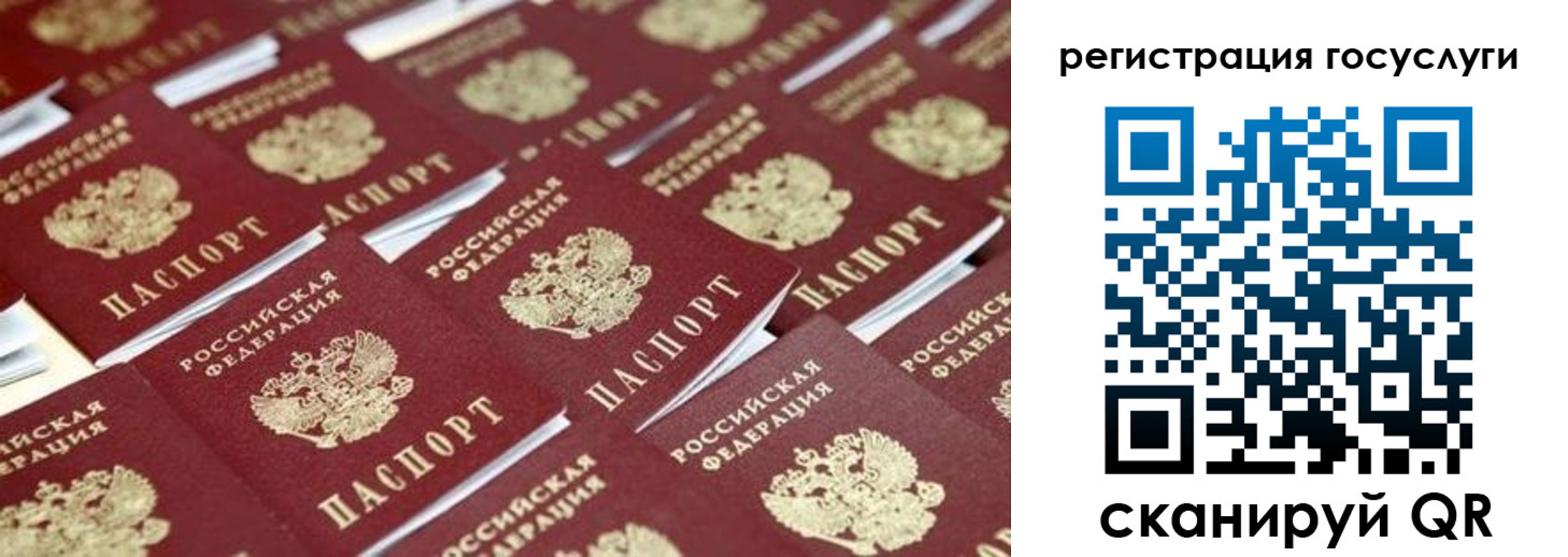 прописка ребенка в Луге