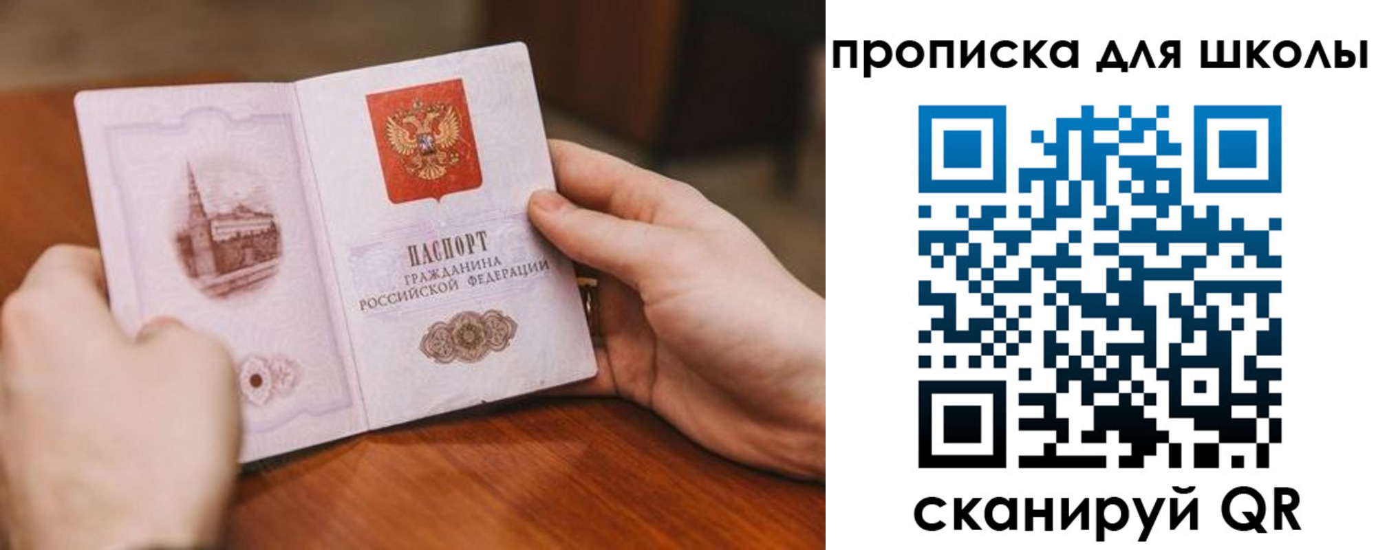 прописка в Луге